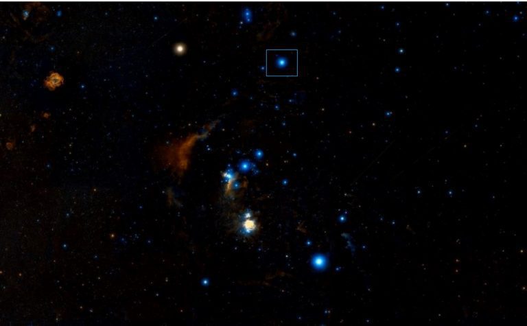 Bintang Bellatrix, Bintang Terang "Pejuang Wanita" di Rasi Bintang Orion