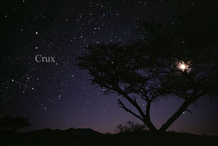 rasi-bintang-crux